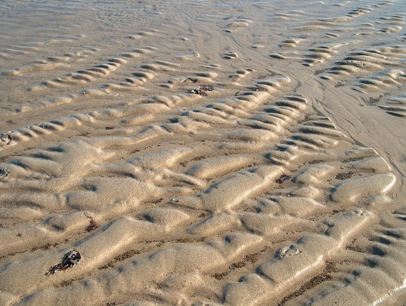 GreenPros Location in the Netherlands